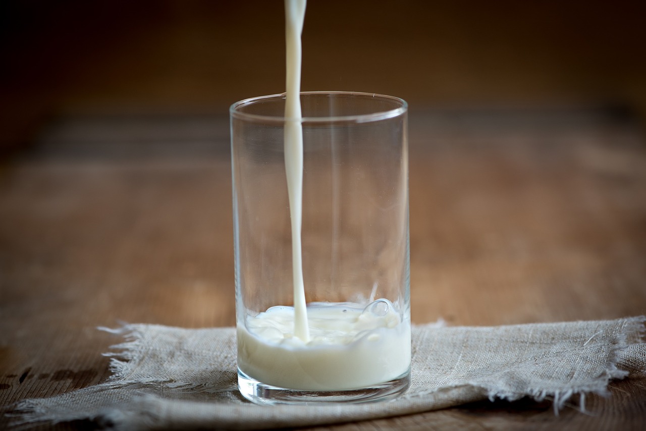La FAO promuove la 21esima edizione della Giornata Mondiale del Latte