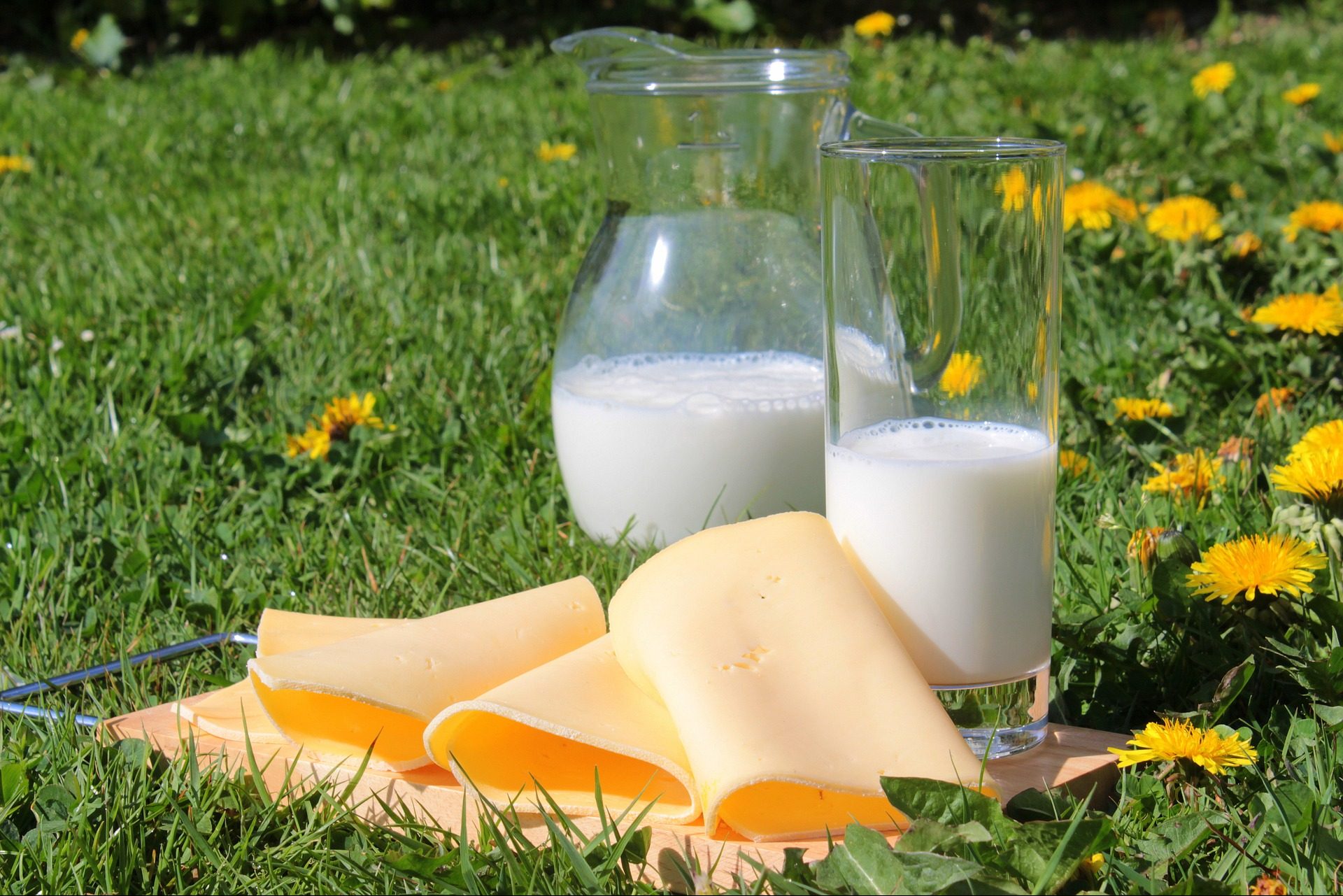 Fiere di Cremona: anche la produzione lattiero casearia diventa sostenibile
