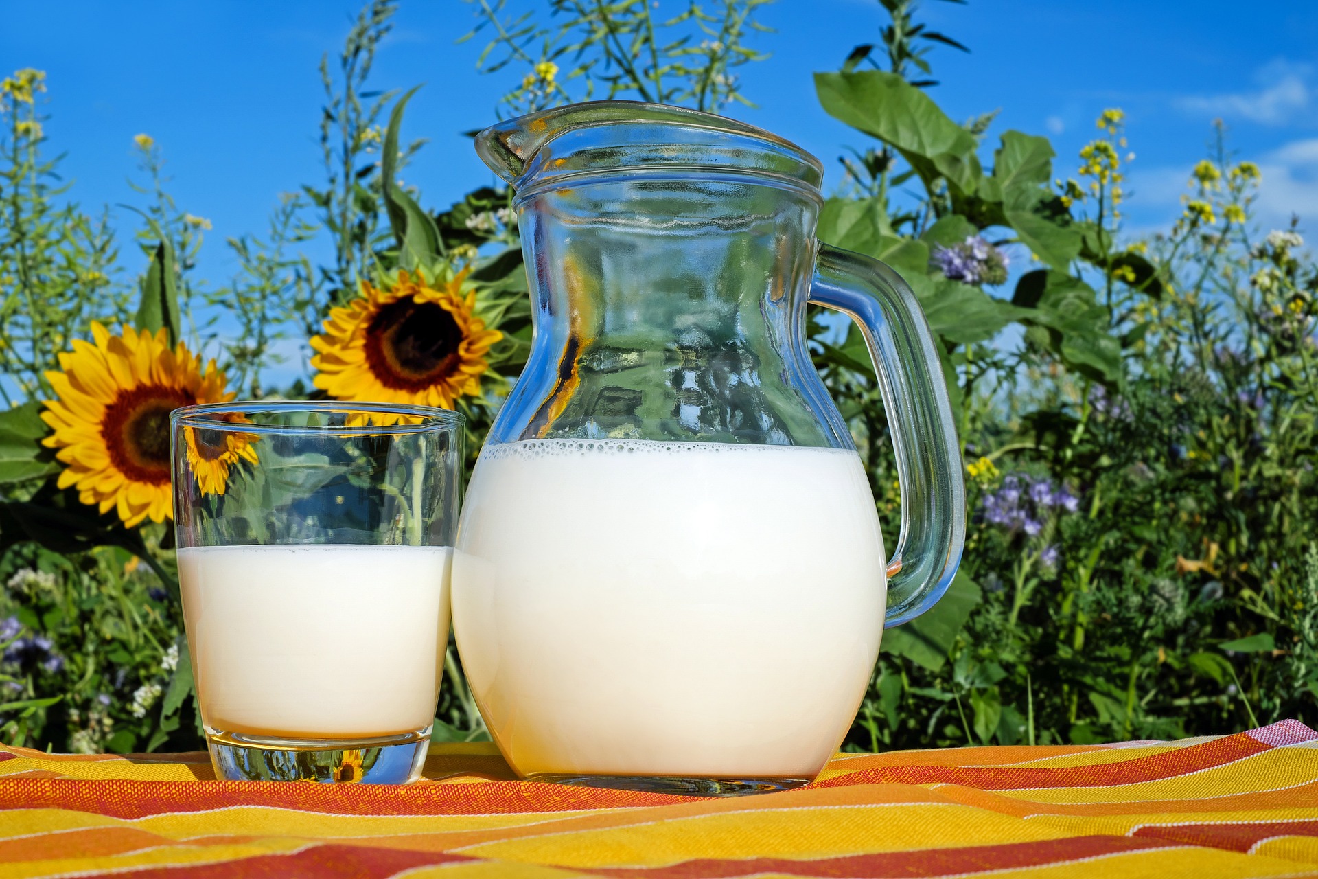 Tech4milk, un progetto nato per dare valore ad una materia prima unica: il latte